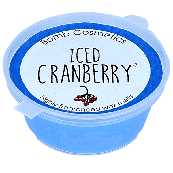 Iced Cranberry Mini Melt Pot - The Present Picker