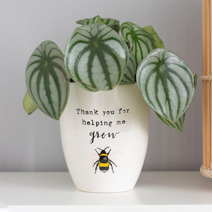 Thank You For Helping Me Grow Ceramic Plant Pot - The Present Picker