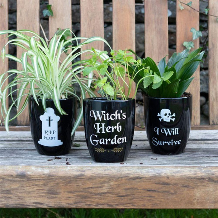 I Will Survive Gothic Plant Pot - The Present Picker