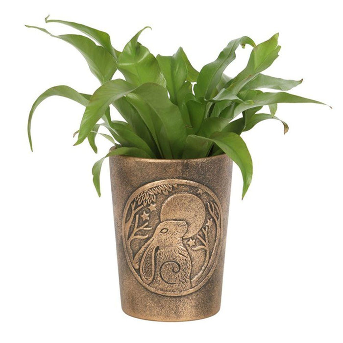 Moon Gazing Hare Bronze Terracotta Plant Pot by Lisa Parker - The Present Picker