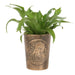 Moon Gazing Hare Bronze Terracotta Plant Pot by Lisa Parker - The Present Picker