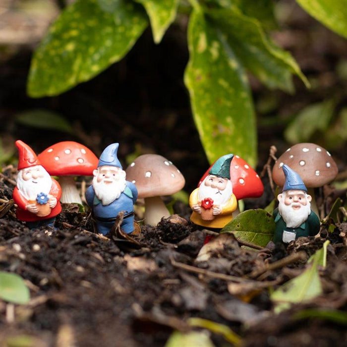 Set of 4 Mini Gnome Plant Pot Pals - The Present Picker