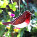 Robin Bird Suncatcher - The Present Picker